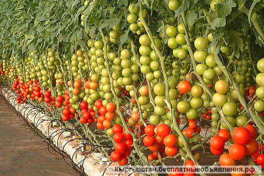 Фото Италия Высокого Качества