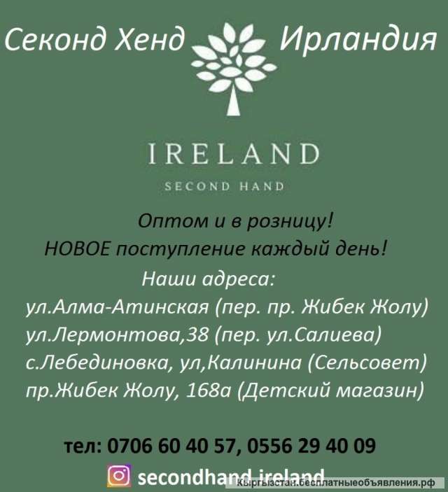 Новое Фото Каждый День